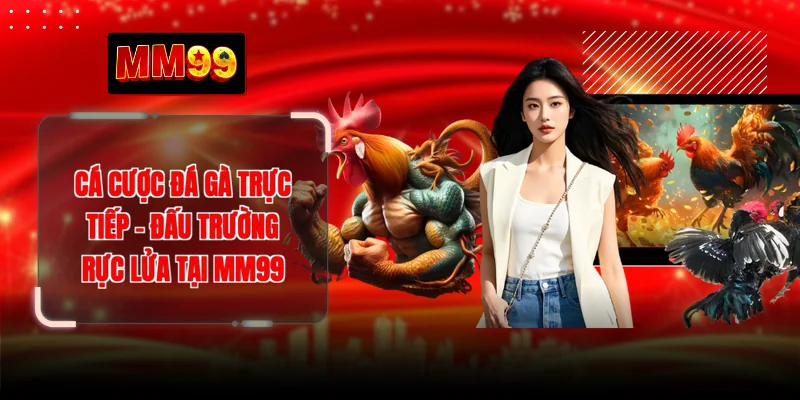 Cá Cược Đá Gà Trực Tiếp - Đấu Trường Rực Lửa Tại MM99