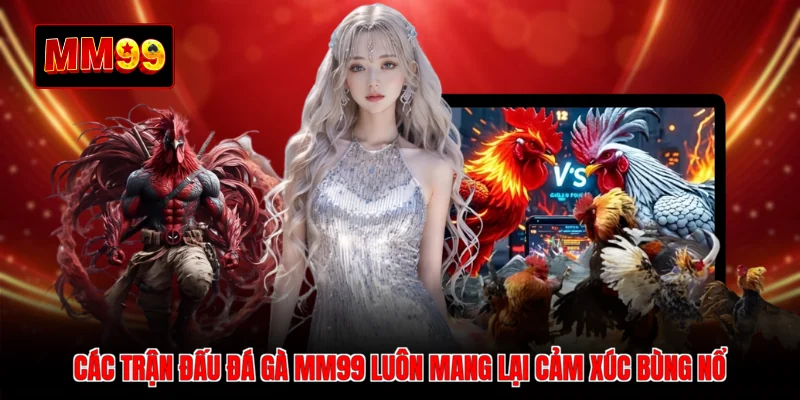 Các trận đấu Đá gà MM99 luôn mang lại cảm xúc bùng nổ