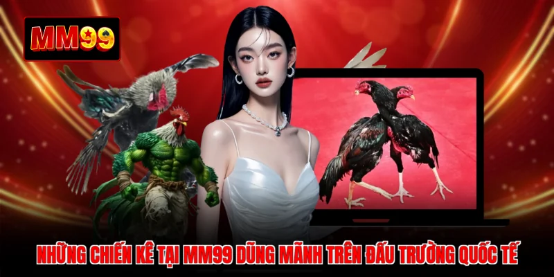 Những chiến kê tại MM99 dũng mãnh trên đấu trường quốc tế